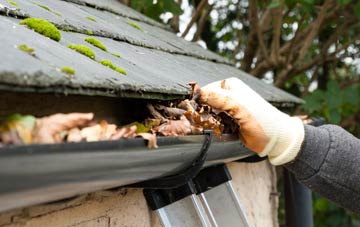 gutter cleaning Common End