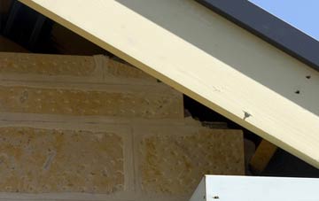 soffit repair Common End